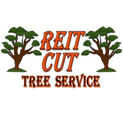 Reit Cut Tree Service