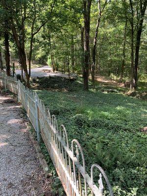 Heavily forested grounds of Stone Face Manor