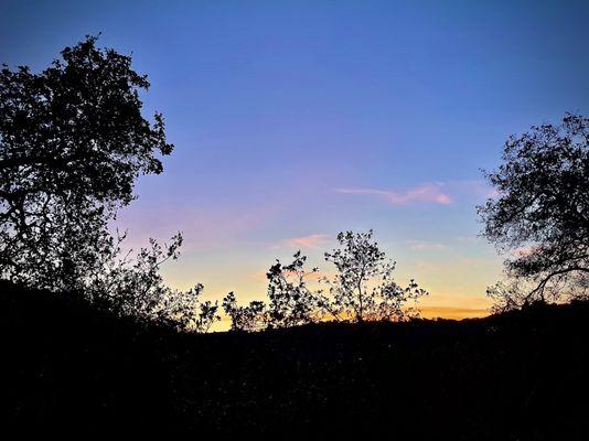 Camino Alto Open Space Preserve