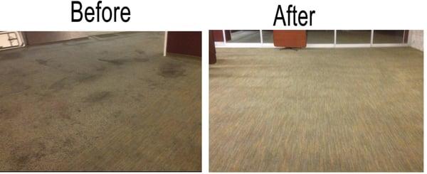 Zebra Carpet Cleaning