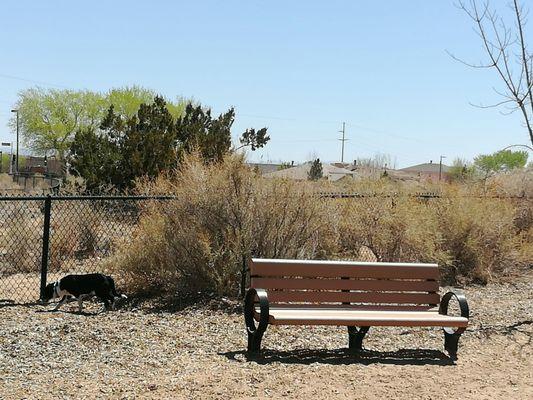 Bud Warren and Lady Dog Park