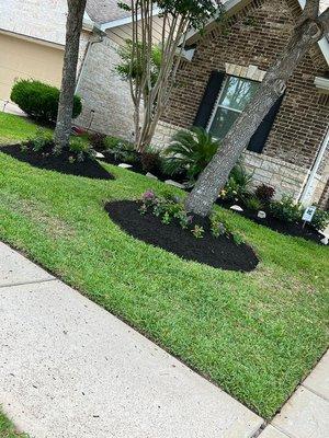 Mulching,flowers