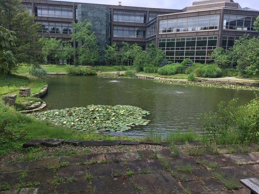 Front of the cleveland clinic integrative institute just behind legacy village