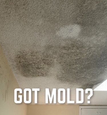 GOT MOLD!!!!!!