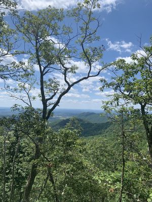 Fortunes Cove Preserve