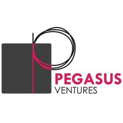 Pegasus Ventures Michigan web site designer logo