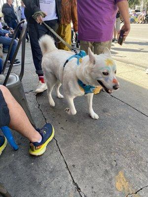 Barkus Parade