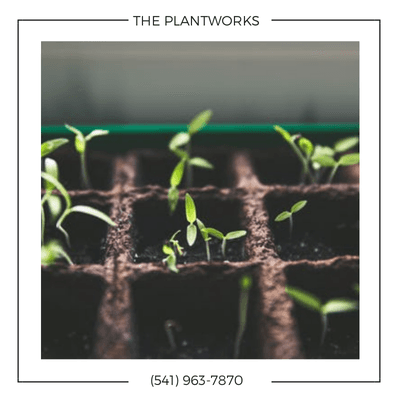 The Plantworks LLC