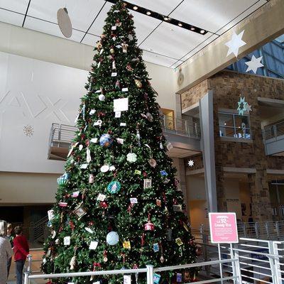 grand tree at the entrance