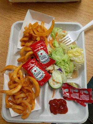 Fries and Salad