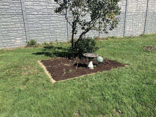 Mulched area around a small tree.