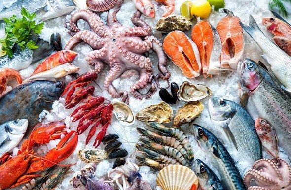 The Little Fish Company offers a wide variety of fresh, wild caught seafood products direct from the commercial fisherman.