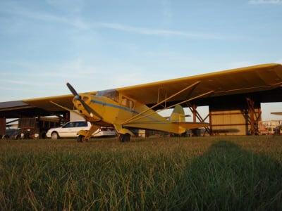 Tailorcraft on the grass