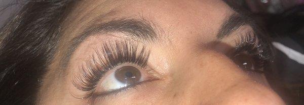 Classic Lashes