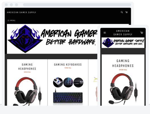 Client Site We Built For American Gamer Supply