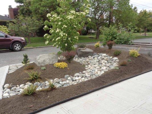 River drybed surface contouring for parking strip, boulder placement, river rock, shrubs and mulch surface.