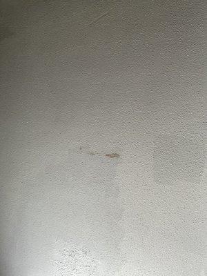 Stains on ceiling.