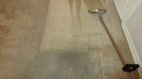 Hot Water Extraction is the best method to reclaim your dirty carpets