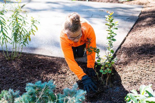 Landscaping Services