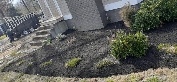 Black mulch