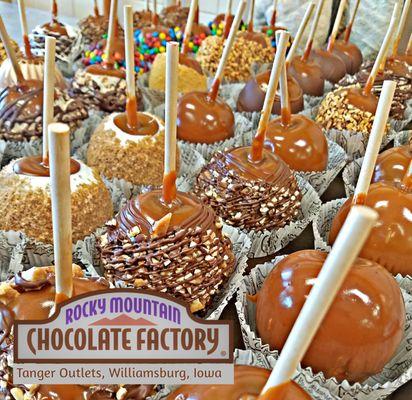 We offer a variety of different caramel apples....