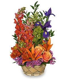 Big or small we love them all. Let us be your Florist of choice.