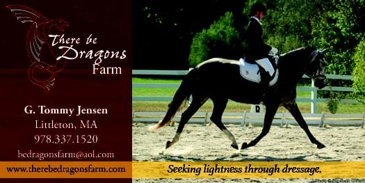 Helping your horse be his best and letting the horse bring out the best in ourselves.