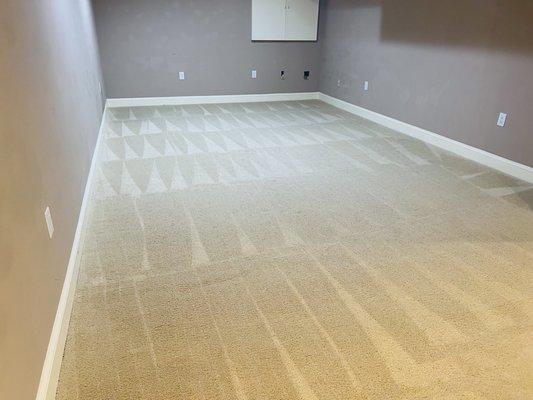 Professional carpet cleaning services.