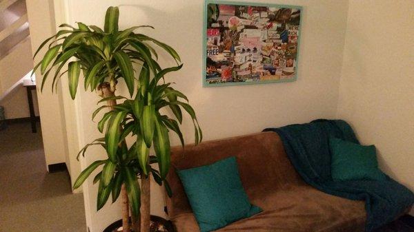 Waiting room. Meet Eddie...our cool plant.