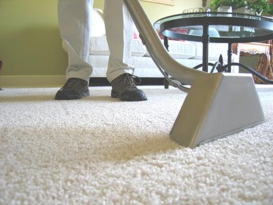 Carpet Cleaning, using hot water extraction rids your carpet of harmful germs and bacteria that may make you sick.