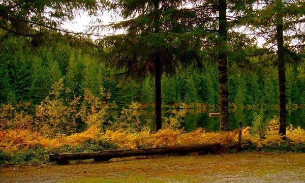 Year round fun at Lake Bronson