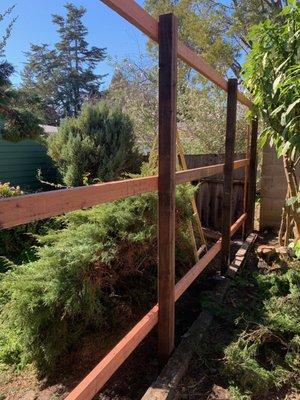 Repairing Fence (Kensington, California). Removing damanged fence and putting new pressured treated posts with three supporting rails.