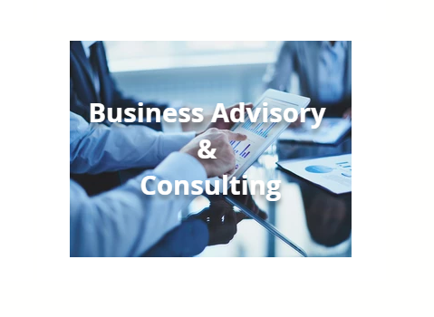 Business Consulting & Advisory Services