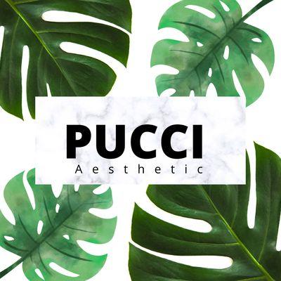 pucci aesthetic