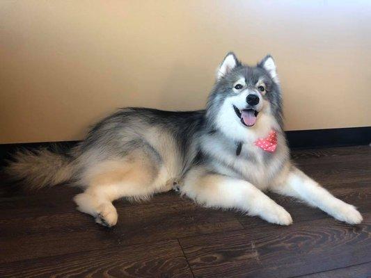 Happy boy after his groom