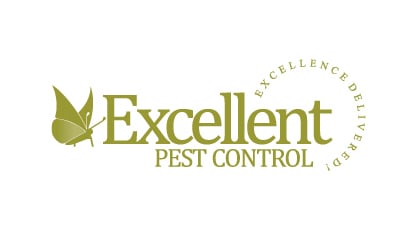 Pest Control / Exterminator - Excellent and Guaranteed service, Reliable and Affordable