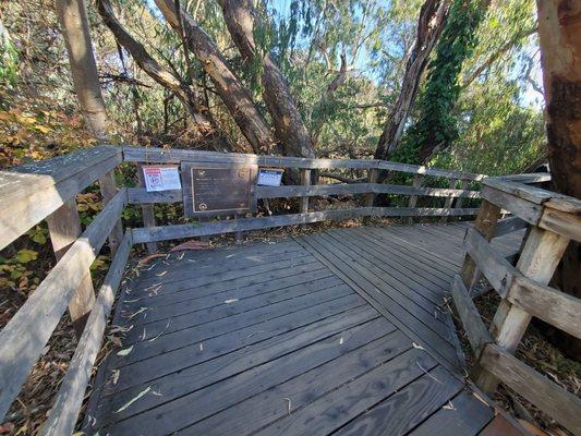 Monarch butterfly boardwalk/ trail