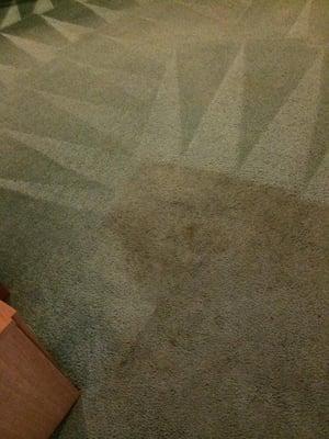 Carpet Cleaning Memphis