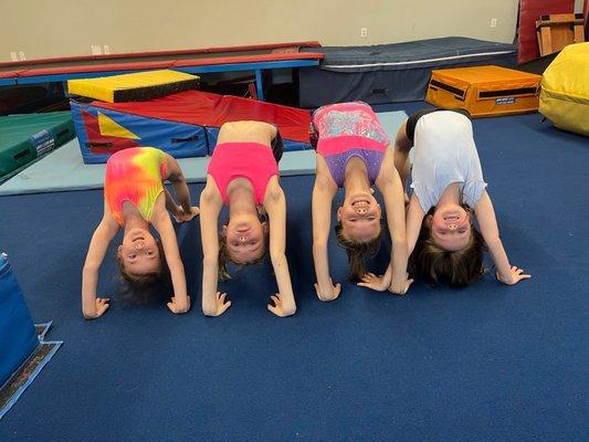 Beautiful girls working on bridges !