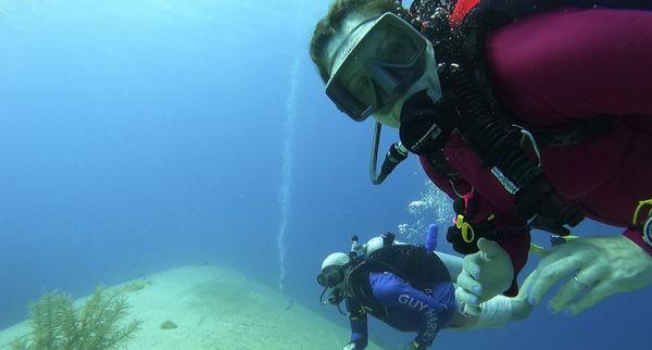 Scuba Diving Tampa. Scuba Diving Certification, Scuba Diving Trips, Scuba Diving Classes, Scuba Diving