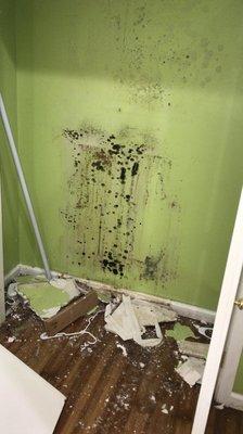 Priority Restoration 215.281.3473 www.priorityrestorationllc.com mold remediation & water mitigation