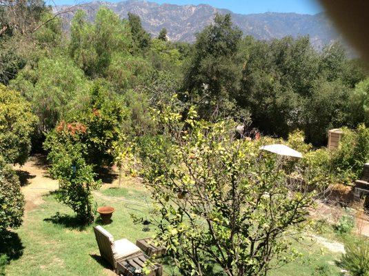 Backyard and Beautiful Mountain View!