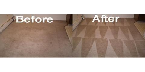 Edwards Carpet Cleaning