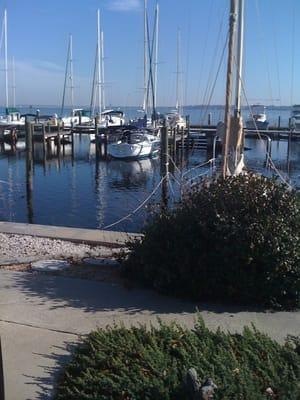 Finest marina on the St. Johns.