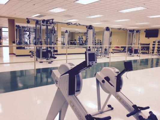 Wellness Program Gym