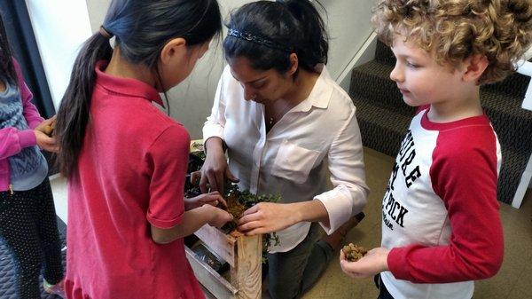 Planting our succulents.