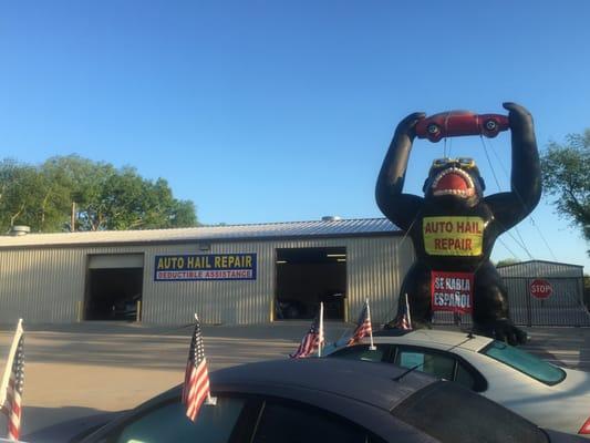 You can't ignore the 600 pound gorilla that wants you to get your vehicle straight. Come by the shop!