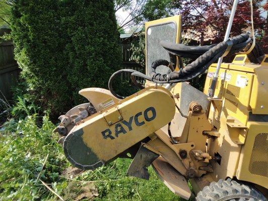 Business end of stump grinder.