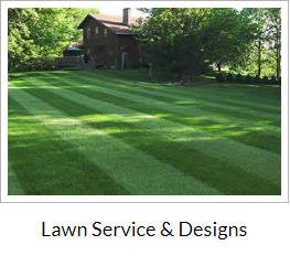 Lawn Service & Designs