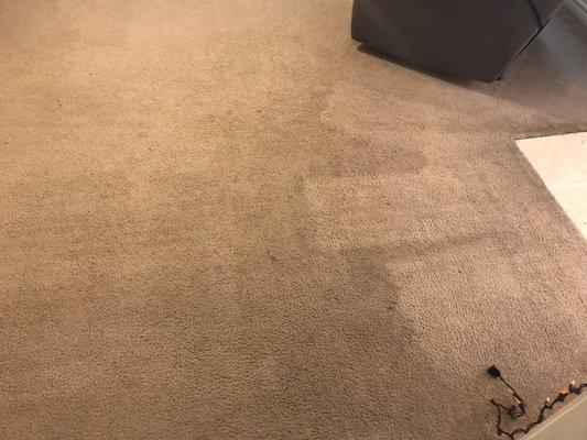 Did something break while cleaning my carpet?